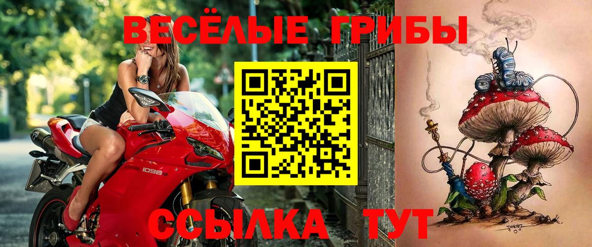 Псилоцибиновые грибы мухоморы  Вход с VPN  Фурманов 