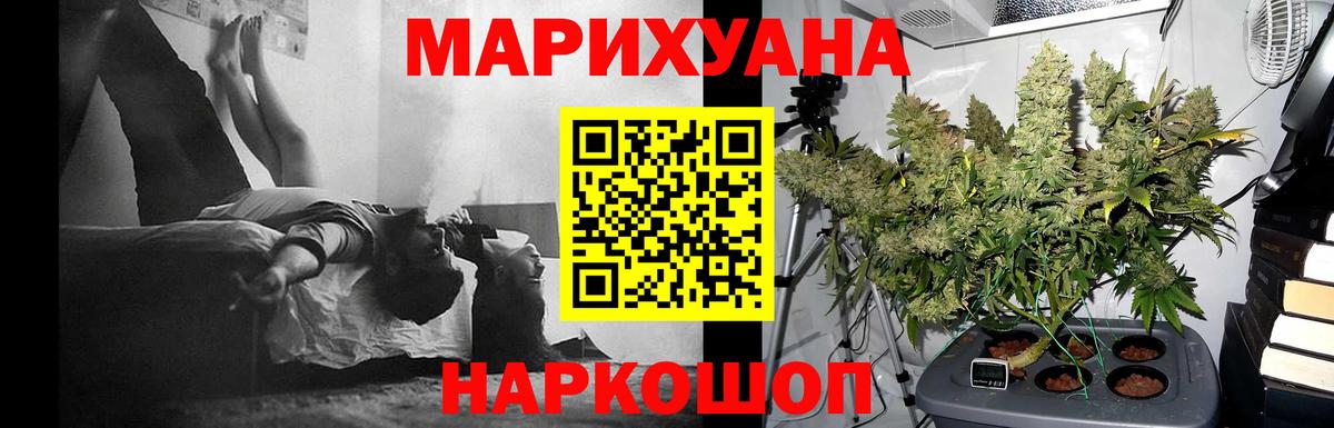Фурманов  Канабис индика  Канабис планчик  Вход с VPN 